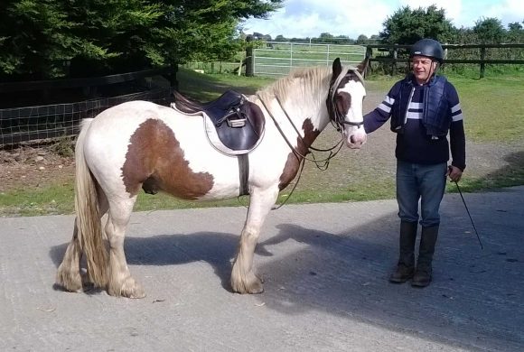 Feeding the Leisure Horse or Pony