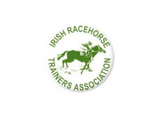 irish-racehorse