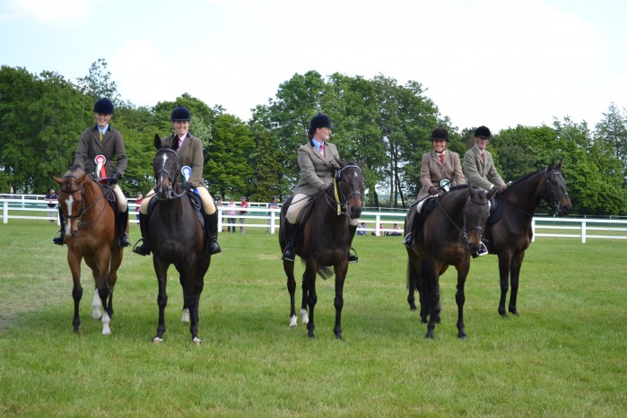 Retired Racehorse Class at Tattersalls
