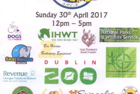 All About Animals Sunday 30th April